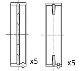 Crankshaft Bearing